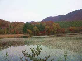 観音沼公園